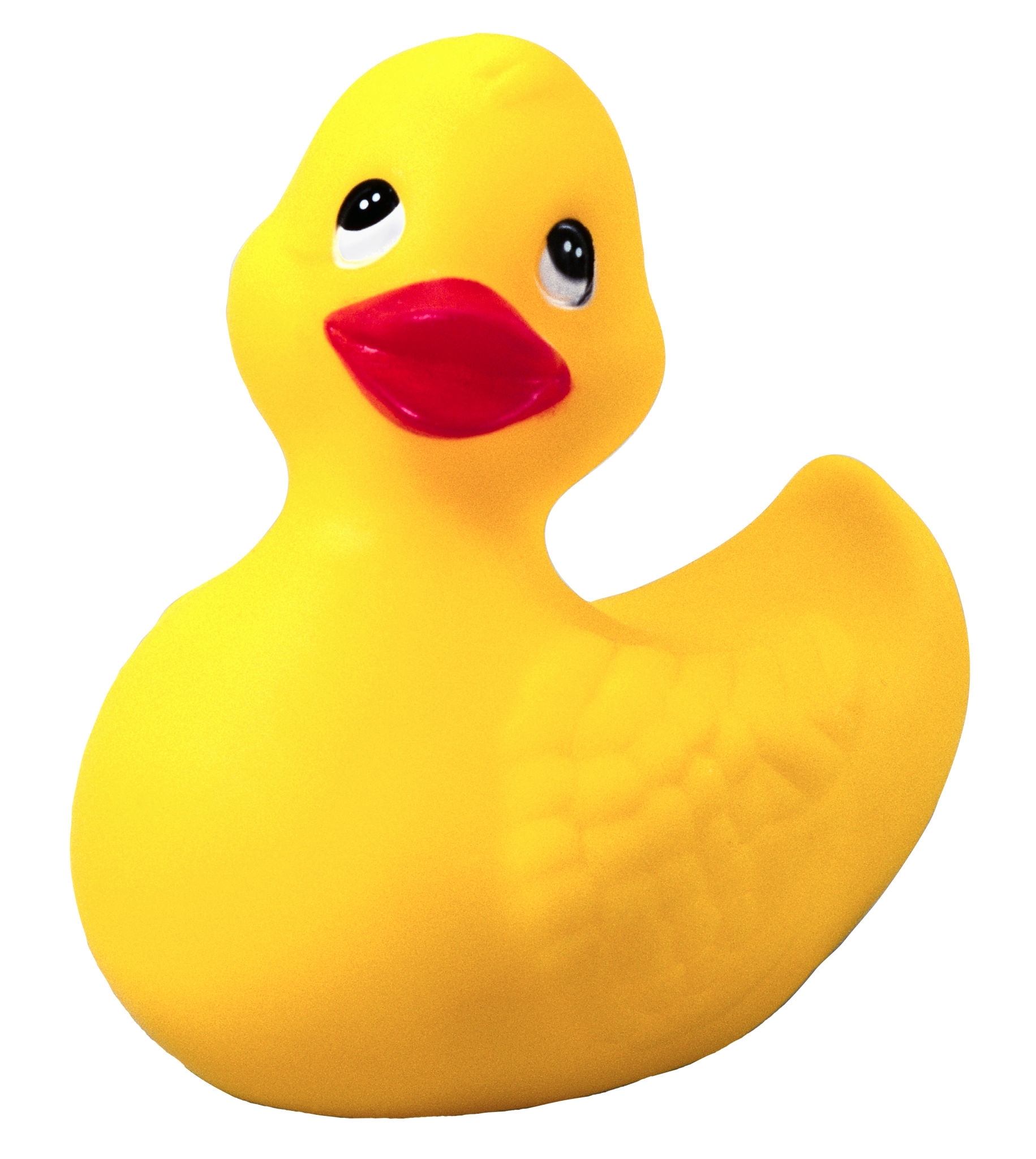 User Duck Icon