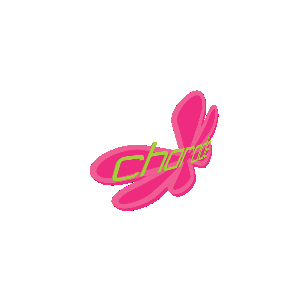 Charade Flag